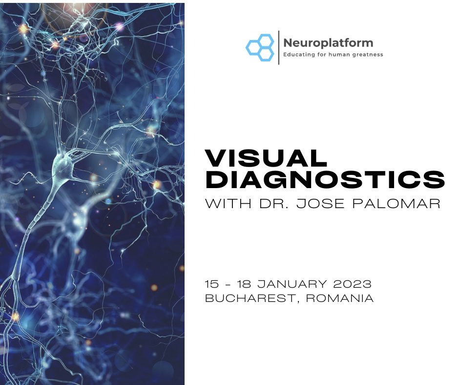 Bucharest - Visual Diagnostics 2023