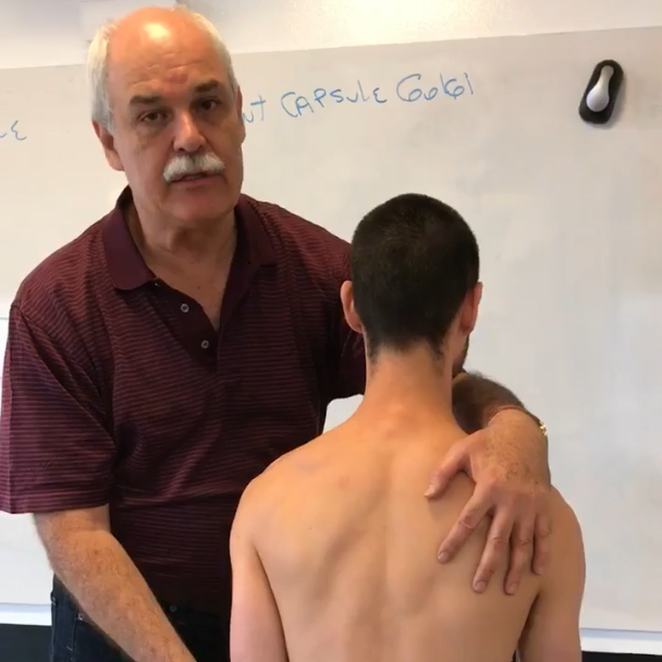 Scapular muscles movements and testing
