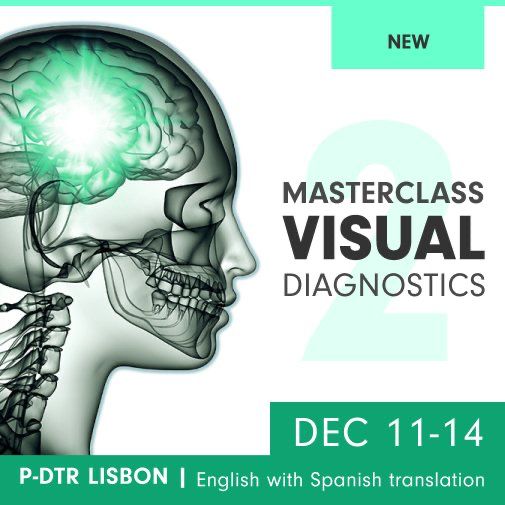 Lisboa – P-DTR Visual Diagnostics 2 2023